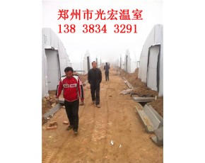 新型蘑菇大棚建造 邯鄲食用菌大棚建造技術