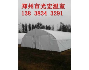 食用菌大棚建造基地 周口市香菇大棚建造方案