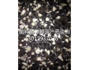 黑雞樅菌種菌棒產(chǎn)品現(xiàn)貨供應(yīng)