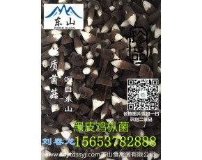 雞樅菌種植技術(shù)美味雞樅菌綠色產(chǎn)品					