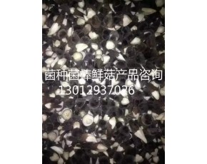 黑雞樅菌鮮菇大量上市每斤18-23元