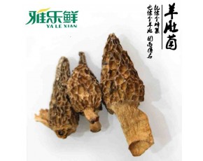 雅樂鮮羊肚菌批發(fā)野生菌批發(fā)菌湯原料批發(fā)農(nóng)家土特產(chǎn)養(yǎng)生食品