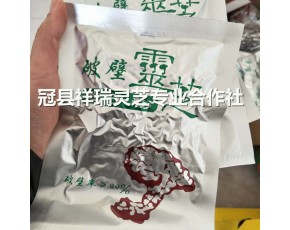 破壁靈芝孢子粉100g