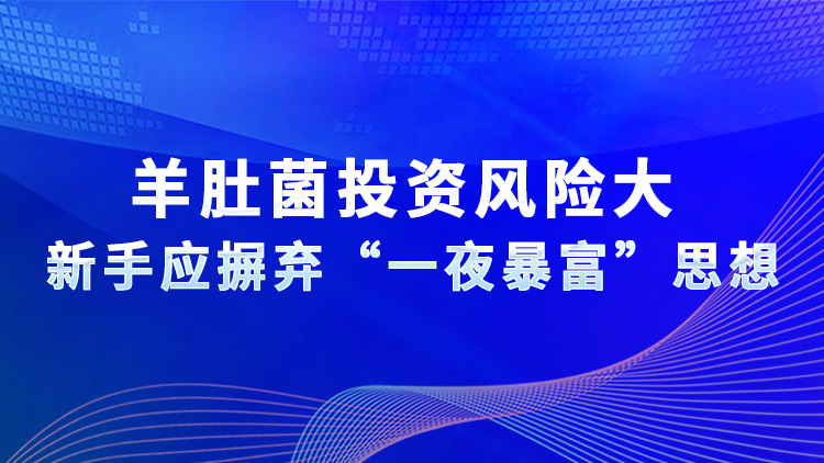 羊肚菌投資風(fēng)險(xiǎn)大  新手應(yīng)摒棄“一夜暴富”思想