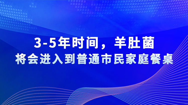 3-5年時(shí)間，羊肚菌將會(huì)進(jìn)入到普通市民家庭餐桌