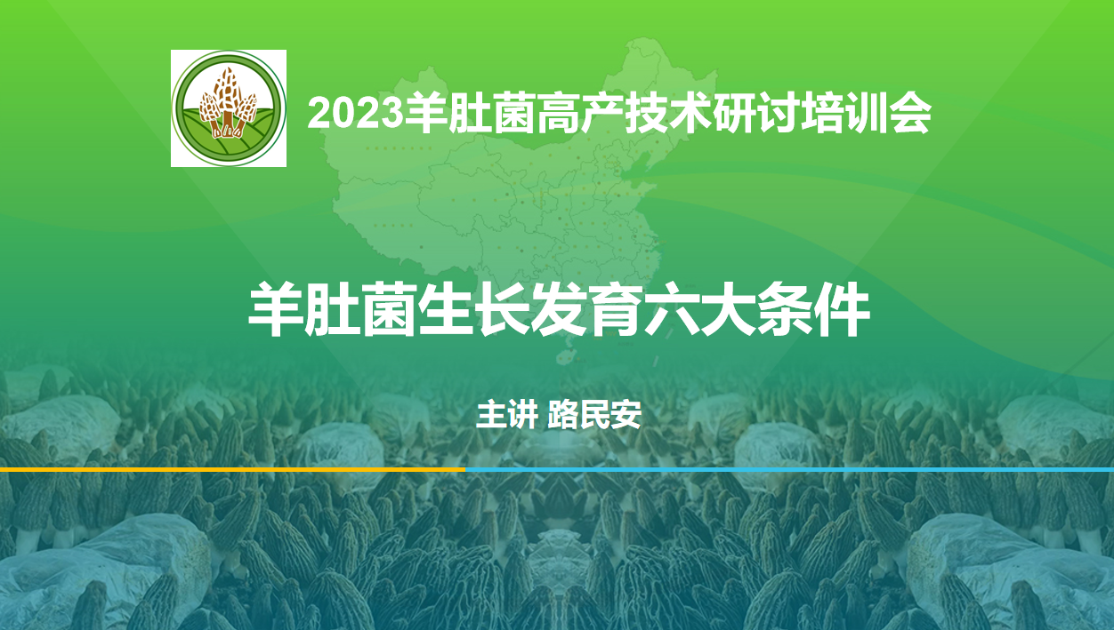 路老師：羊肚菌生長發(fā)育的六大條件