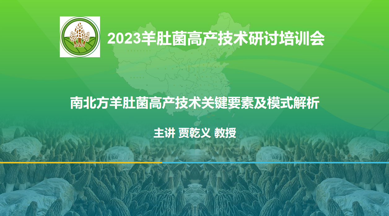 南北方羊肚菌高產技術關鍵要素及模式解析