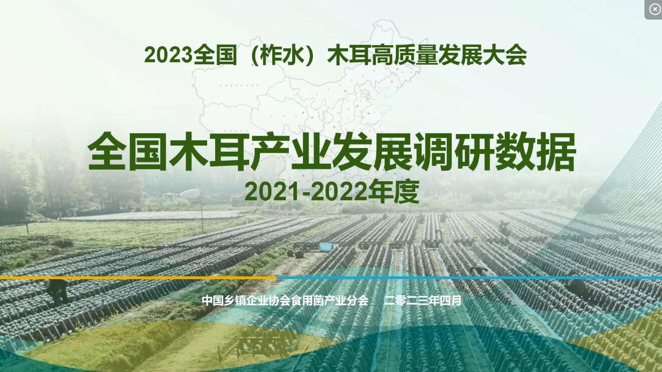 2021-2022年度全國木耳產(chǎn)業(yè)調(diào)研數(shù)據(jù)-李昊