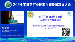 李守勉 北方設施羊肚菌標準化生產技術體系