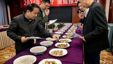 15個(gè)品種摘金！2024年“浙好”菌菇名單揭曉