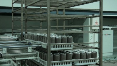 貴州聚福菌：運用智能化技術(shù)，構(gòu)建現(xiàn)代農(nóng)業(yè)生產(chǎn)體系